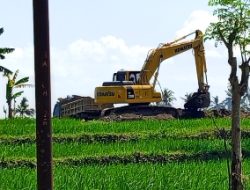 Diduga Tambang Ilegal Gentayangan di Rogojampi Banyuwangi, APH Tidak Berani Menindak Tegas Secara Hukum, Ada Apa Ya?