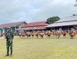 Satgas 141/AYJP laksanakan Penganmanan Seni Budaya Tarian Papua