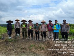 POLSEK KERINCI KANAN TANAM JAGUNG DUKUNG KETAHANAN PANGAN DI AREAL LAHAN PT.LEKONINDO