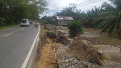 Curah Hujan Begitu Deras, Dampak Banjir Kikis Parah Bahu Jalan Nasional