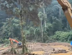 Tambang ilegal semakin marak di pasaman barat.