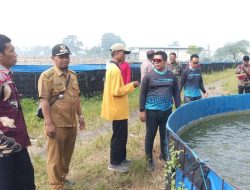 Implementasi Asta Cita, Polsek Gempol Gandeng Gapoktan Kembangkan Budidaya Lele