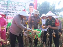 Polres Pasuruan Panen Jagung di Purwodadi