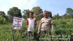 Sinergi Polri dan Warga: Perkarangan Bergizi Jadi Solusi Ekonomi di Tualang Timur