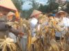 Bupati Madina Hadiri Panen Raya Jagung Tahap 1 Oleh Kelompok Tani Saroha Kotanopan