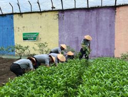 Lagi lagi Lapas Pekanbaru Panen Sayur Untuk Dukung Program Ketahanan Pangan